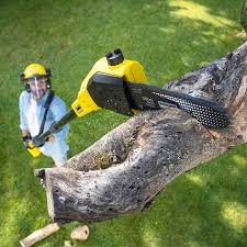 Artificial Turf Installation in West Richland, WA