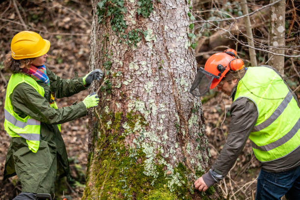 Best Utility Line Clearance  in West Richland, WA