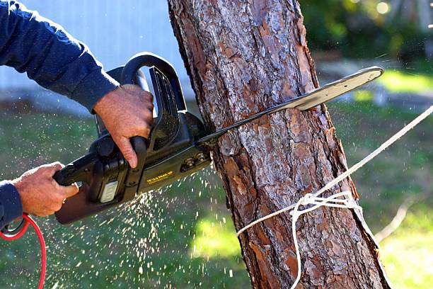 Best Aeration Services  in West Richland, WA